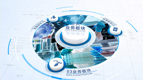 简洁商务数据信息分类AE模板