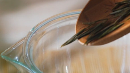 中国风泡绿茶实拍视频