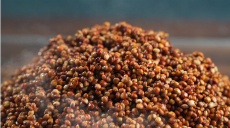 高梁酿酒酒杯溅水升格视频