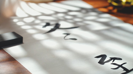 唯美光影中国风冬至书法实拍视频