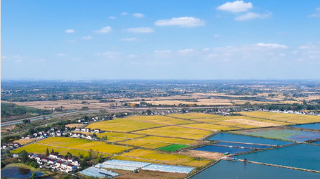 农村农田美丽<strong>乡村</strong>农业4K航拍