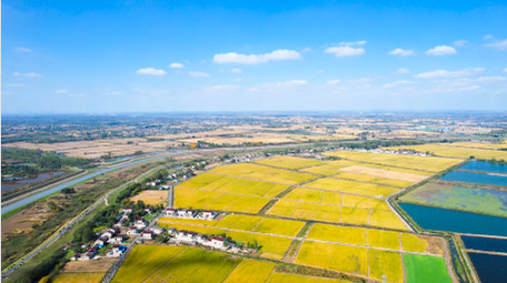 农村农田美丽<strong>乡村</strong>农业4K航拍