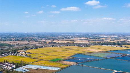 农村农田美丽<strong>乡村</strong>农业4K航拍