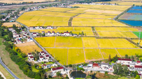 农村农田美丽<strong>乡村</strong>农业4K航拍