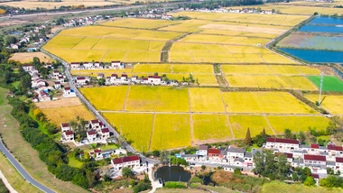 农村农田美丽<strong>乡村</strong>农业4K航拍