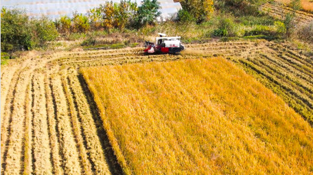 美丽<strong>乡村</strong>丰收农业机械化4K航拍