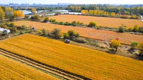 美丽<strong>乡村</strong>丰收农业机械化4K航拍