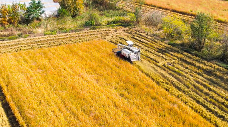 美丽<strong>乡村</strong>丰收农业机械化4K航拍