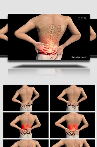 腰椎骨骼疼痛三维视频图片