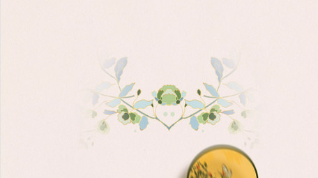 唯美中国山水背景视频AE模板