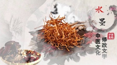 中医文化水墨图文开场宣传展示