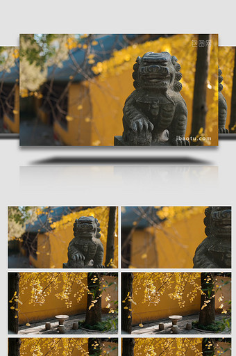 唯美虎丘风景银杏石狮中国风实拍图片