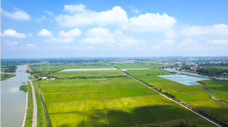 美丽乡村绿色乡村农田4K航拍