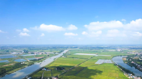 美丽乡村绿色乡村农田4K航拍