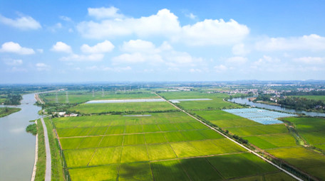 美丽乡村绿色乡村农田4K航拍