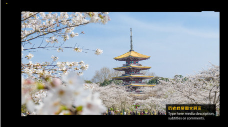 档案历史图文AE模板