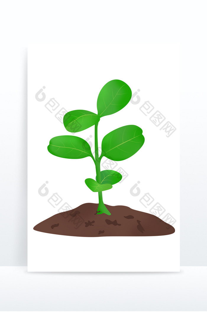 植物植树节小树苗图片图片