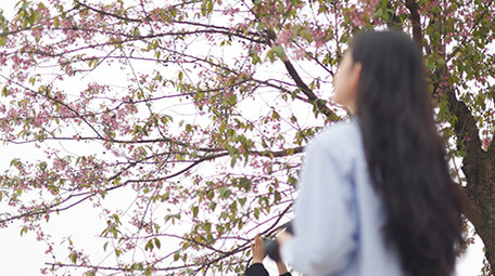 户外人像春天美女拍照摄影实拍