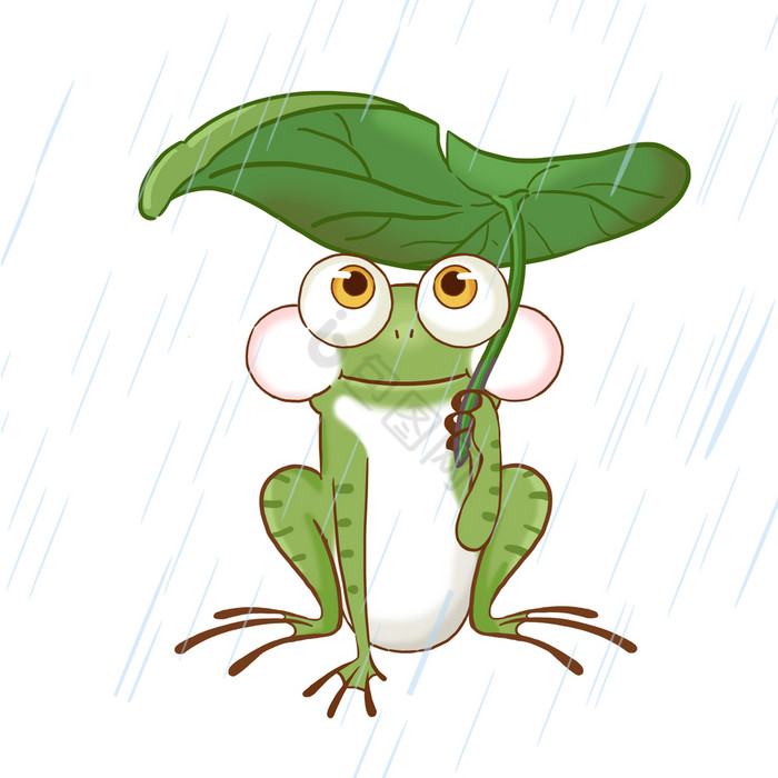 夏天下雨青蛙荷叶遮雨动图GIF
