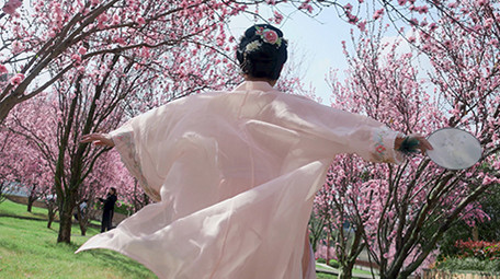 户外春天樱花林汉服美女奔跑实拍