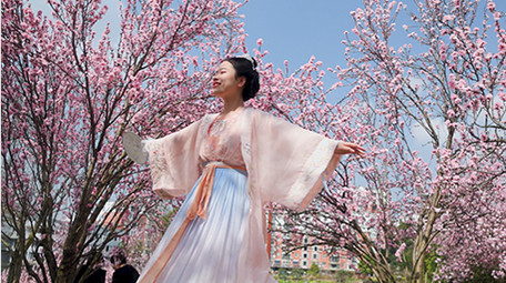 户外春天樱花林汉服美女旋转实拍