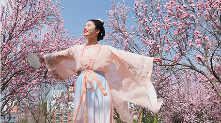 户外春天樱花林汉服美女旋转实拍