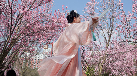 户外春天樱花林汉服美女旋转实拍