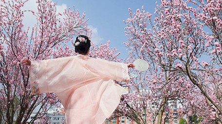 户外春天樱花林汉服美女旋转实拍