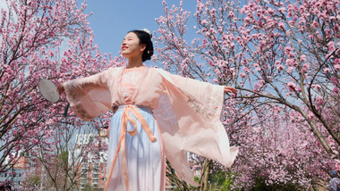 户外春天樱花林汉服美女旋转实拍