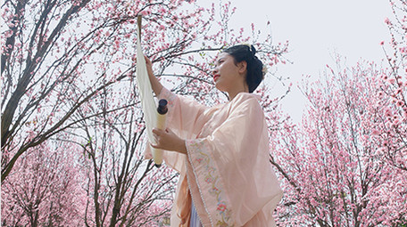 户外汉服美女花海中打开画卷实拍