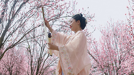 户外汉服美女花海中打开画卷实拍