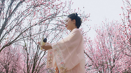 户外汉服美女花海中打开画卷实拍