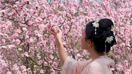 户外春季汉服美女赏花樱花实拍