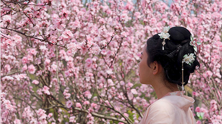 户外春季汉服美女赏花樱花实拍