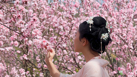 户外春季汉服美女赏花樱花实拍