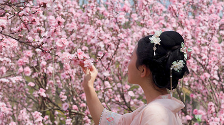 户外春季汉服美女赏花樱花实拍