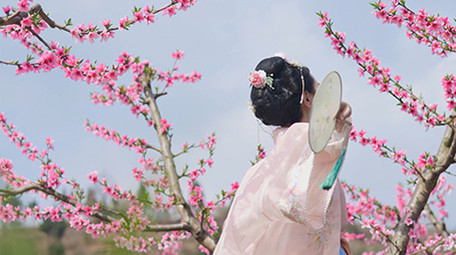 春季桃花林汉服美女自由玩耍实拍