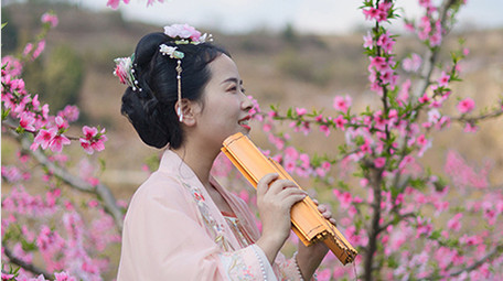 户外桃花林汉服美女看竹简实拍