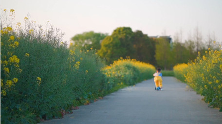 春天儿童户外玩轮滑车实拍视频