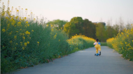 春天儿童户外玩轮滑车实拍视频