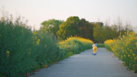 春天儿童户外玩轮滑车实拍视频