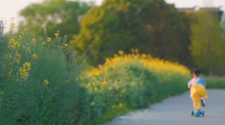春天儿童户外玩轮滑车实拍视频