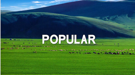 简洁时尚旅行图文展示PR模板