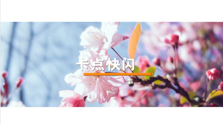 简洁时尚旅行图文展示PR模板