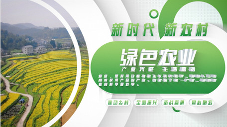 乡村振兴绿色助农图文AE模板