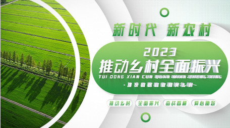 乡村振兴绿色助农图文AE模板