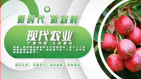 乡村振兴绿色助农图文AE模板