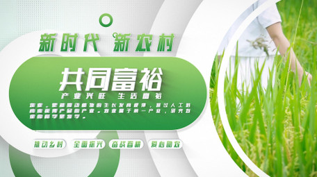 乡村振兴绿色助农图文AE模板