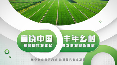 乡村振兴绿色助农图文AE模板
