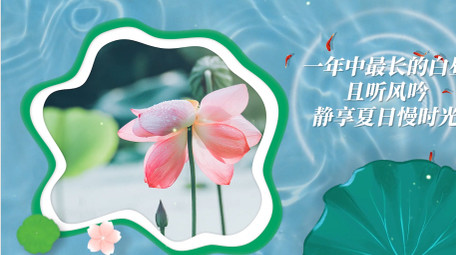 创意卡通夏至节气<strong>图文</strong>pr模板